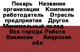 Пекарь › Название организации ­ Компания-работодатель › Отрасль предприятия ­ Другое › Минимальный оклад ­ 1 - Все города Работа » Вакансии   . Амурская обл.